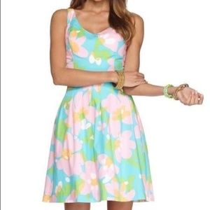 Lilly Pulitzer Lexington Fit & Flare Mini Dress Size 4